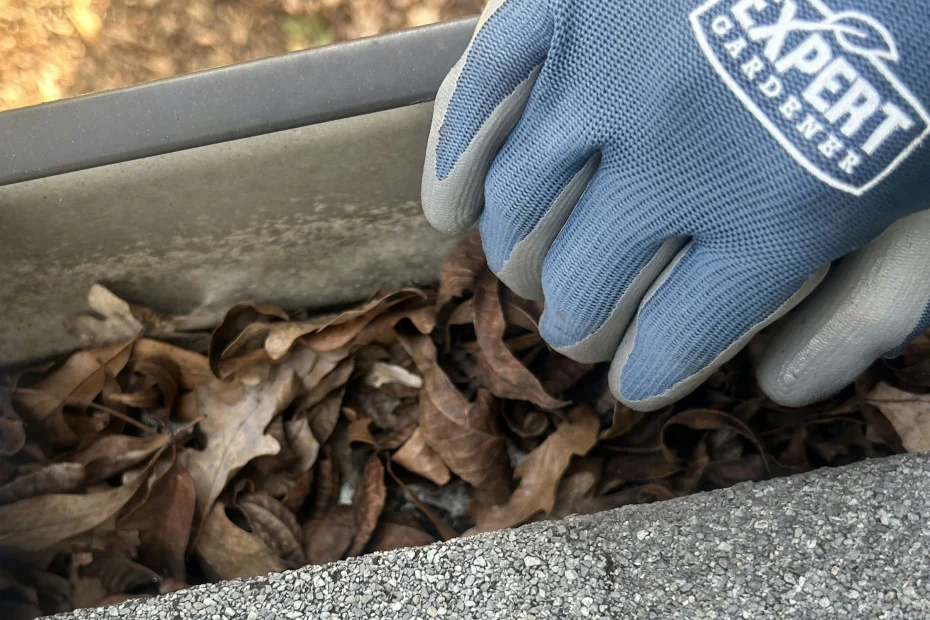 Gutter Cleaning Canton GA