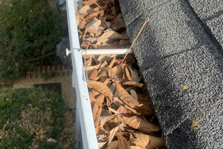 Gutter Cleaning Canton GA