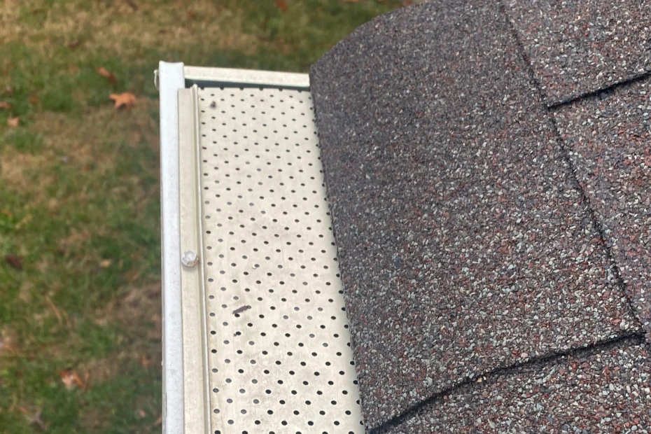 Gutter Cleaning Canton GA