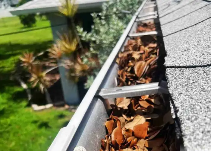 Gutter Cleaning Canton GA home page